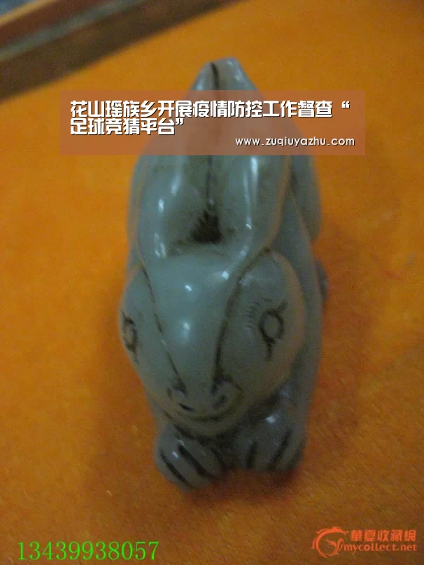 花山瑶族乡开展疫情防控工作督查“足球竞猜平台”(图2) 足球压住