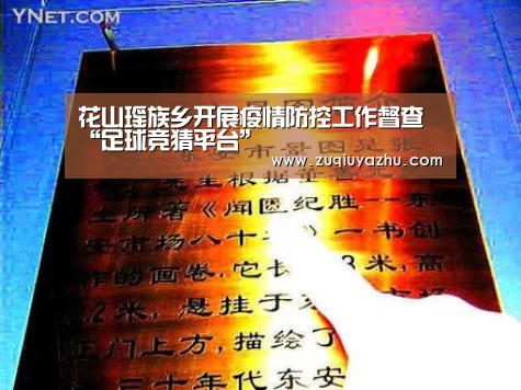 花山瑶族乡开展疫情防控工作督查“足球竞猜平台”(图3) 足球压住正规平台