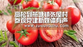高松到燕塘镇张屋村参观党建新媒体有声图书馆‘足球压住正规平台’(图2) 足球竞猜平台